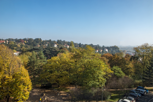 5 randonnées sympas autour de Lyon moins de 10 km Caluire quai de saone